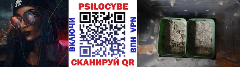 Псилоцибиновые грибы прущие грибы  магазин    blacksprut онион  Мураши 